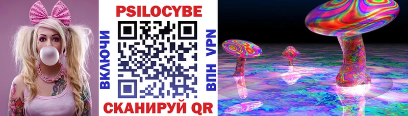 Псилоцибиновые грибы Psilocybe  как найти наркотики  darknet Telegram  Горячеводский 